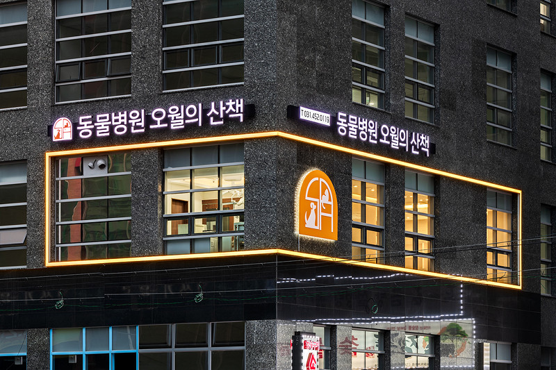 저녁 조명이 켜진 오월의산책 동물병원 건물 외관